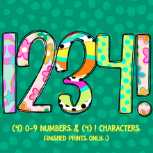  ROWDY Numeric Pack
